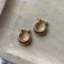 Load image into Gallery viewer, Emilia textured hoops
