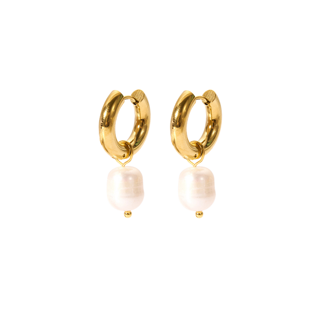 Coralie Hoops - Stainless Steel Gold Plated 18K